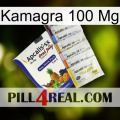 Kamagra 100 Mg 11